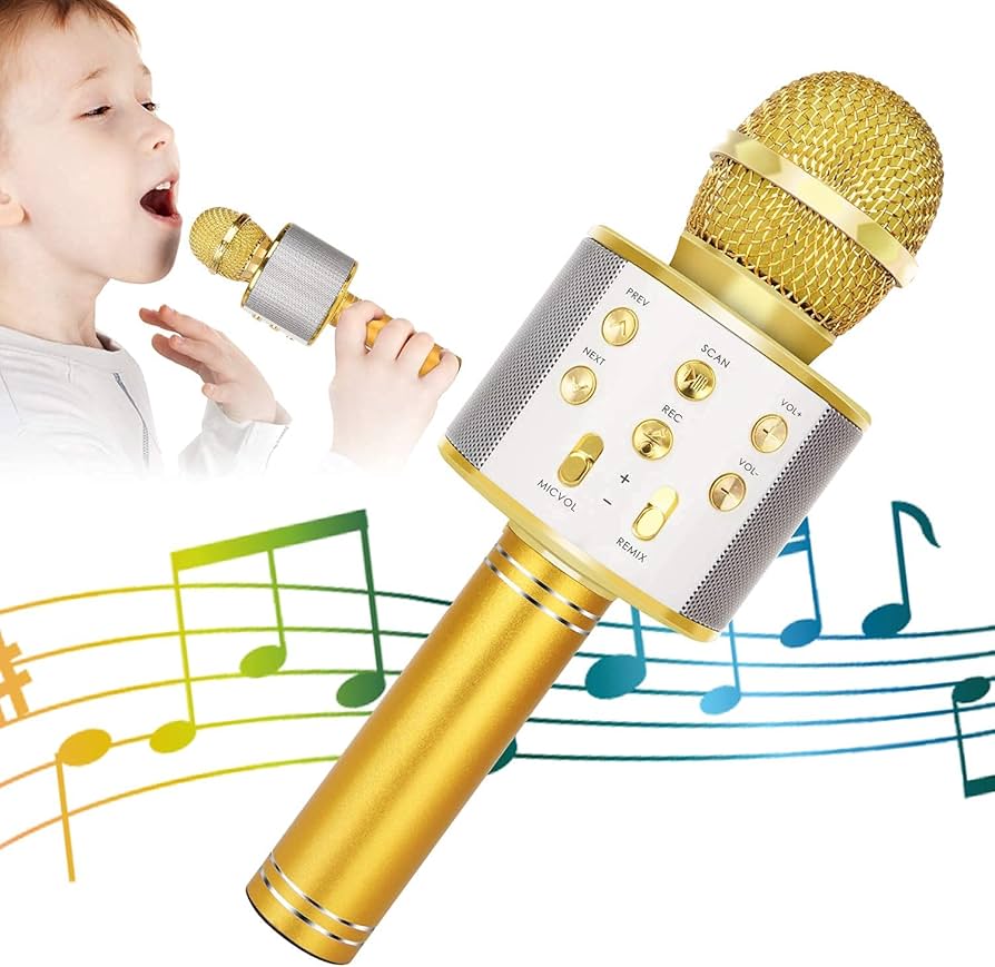 Wireless Mic for kids